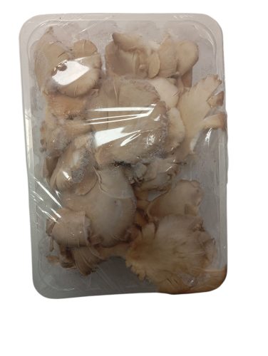 Laskagomba 0,5kg