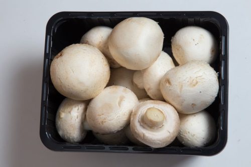 Csiperkegomba